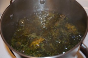 Decoction of herbs for varicose veins