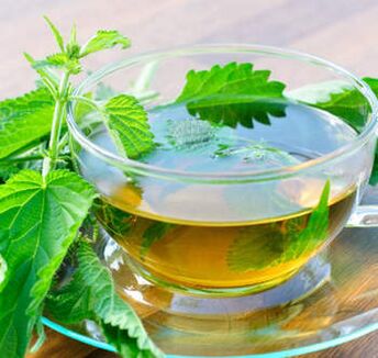 nettle infusion for varicose veins